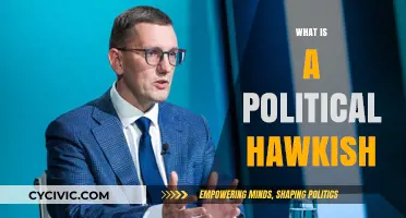 Understanding Hawkish Politics: Aggressive Foreign Policy Explained Simply