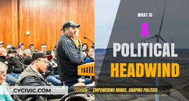Understanding Political Headwinds: Challenges and Impacts on Policy and Leadership