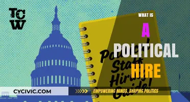 Understanding Political Hires: Definition, Impact, and Implications in Governance