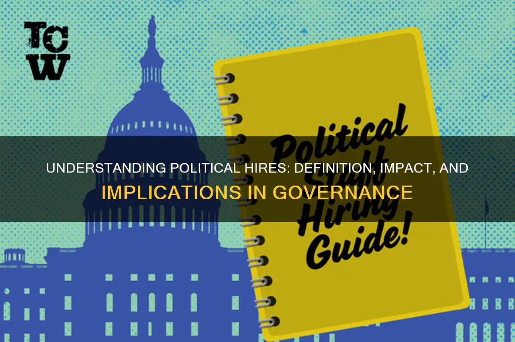 what is a political hire