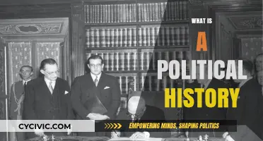 Understanding Political History: Power, Societies, and Historical Transformations