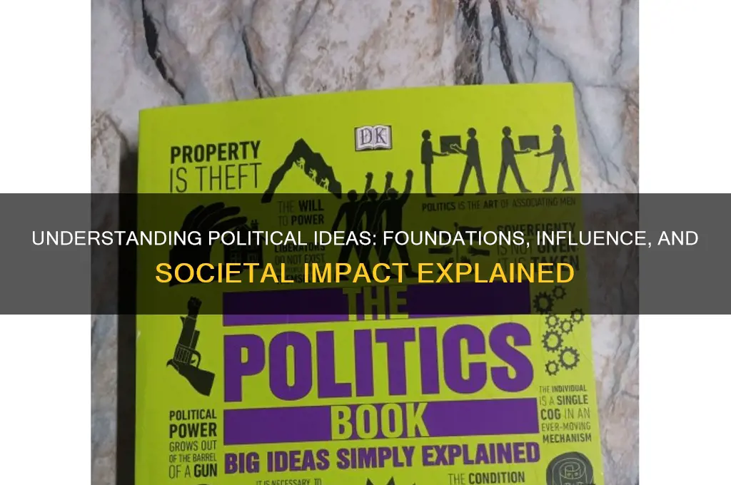 what is a political idea