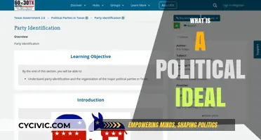 Understanding Political Ideals: Core Principles Shaping Societies and Governance