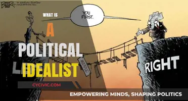 Understanding Political Idealism: Beliefs, Goals, and Real-World Implications