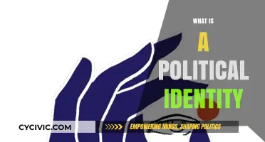 Understanding Political Identity: Shaping Beliefs, Values, and Civic Engagement