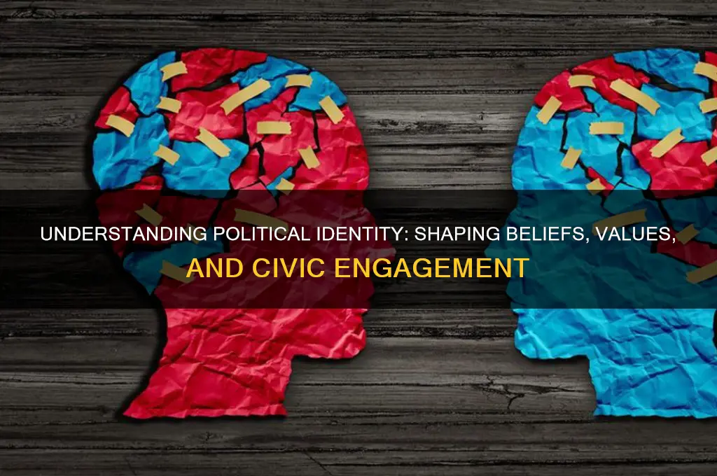 what is a political identity