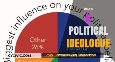 Understanding Political Ideologues: Beliefs, Impact, and Role in Society