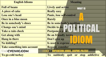 Understanding Political Idioms: Decoding Language in Modern Politics