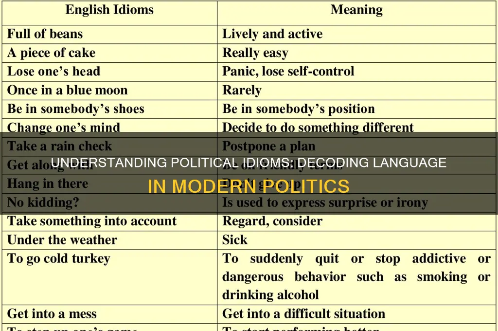 what is a political idiom