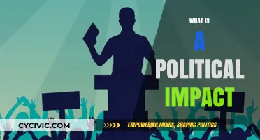 Understanding Political Impact: Shaping Societies, Policies, and Global Dynamics