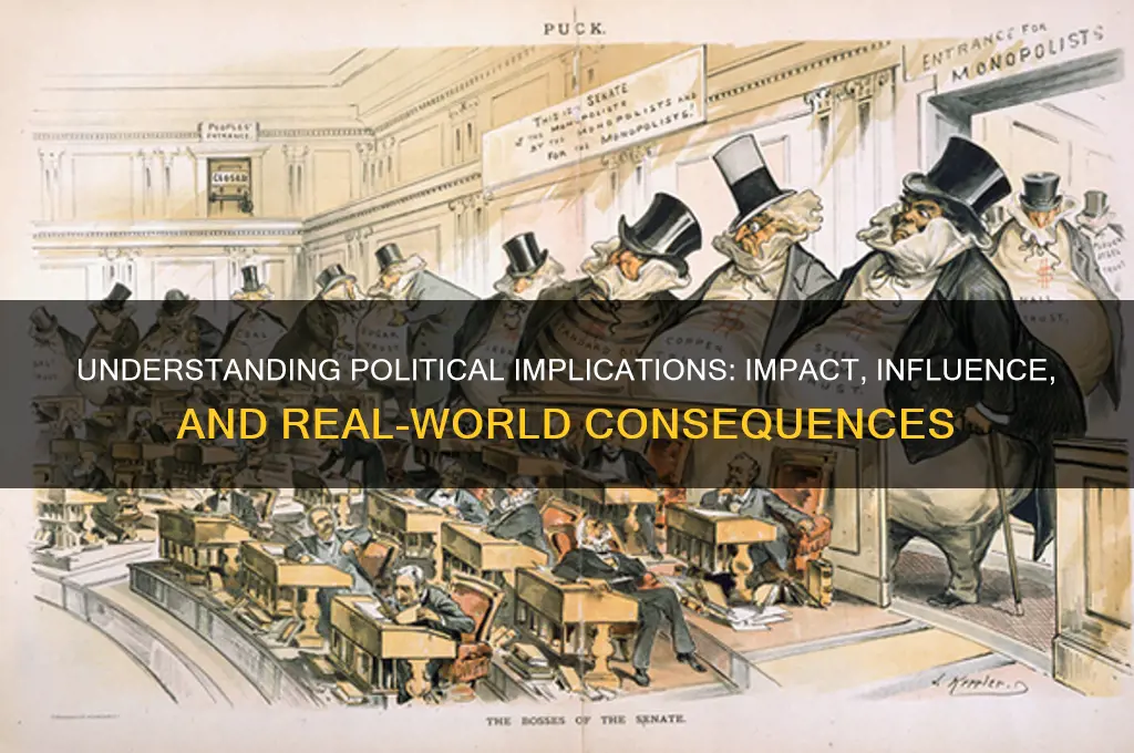 what is a political implication