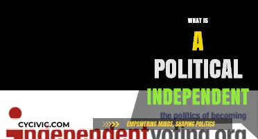 Understanding Political Independents: A Non-Partisan Voter's Role in Democracy