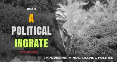 Understanding the Political Ingrate: A Deep Dive into Disloyalty