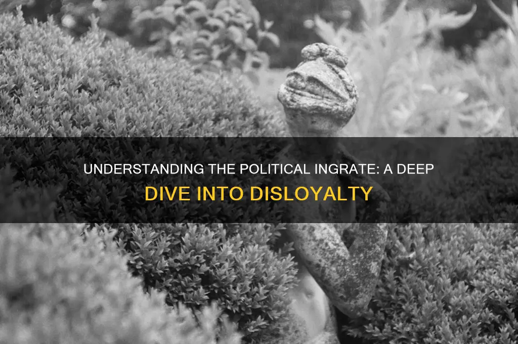 what is a political ingrate