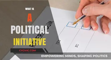 Understanding Political Initiatives: Purpose, Process, and Impact Explained