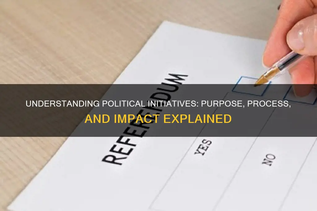 what is a political initiative