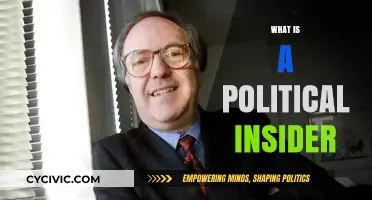 Understanding Political Insiders: Influence, Access, and Power Dynamics Explained