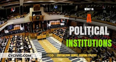 Understanding Political Institutions: Foundations, Functions, and Global Impact
