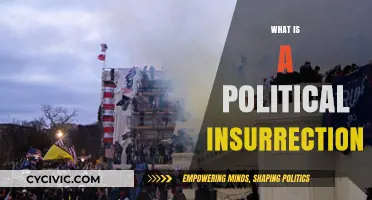 Understanding Political Insurrection: Causes, Consequences, and Historical Context