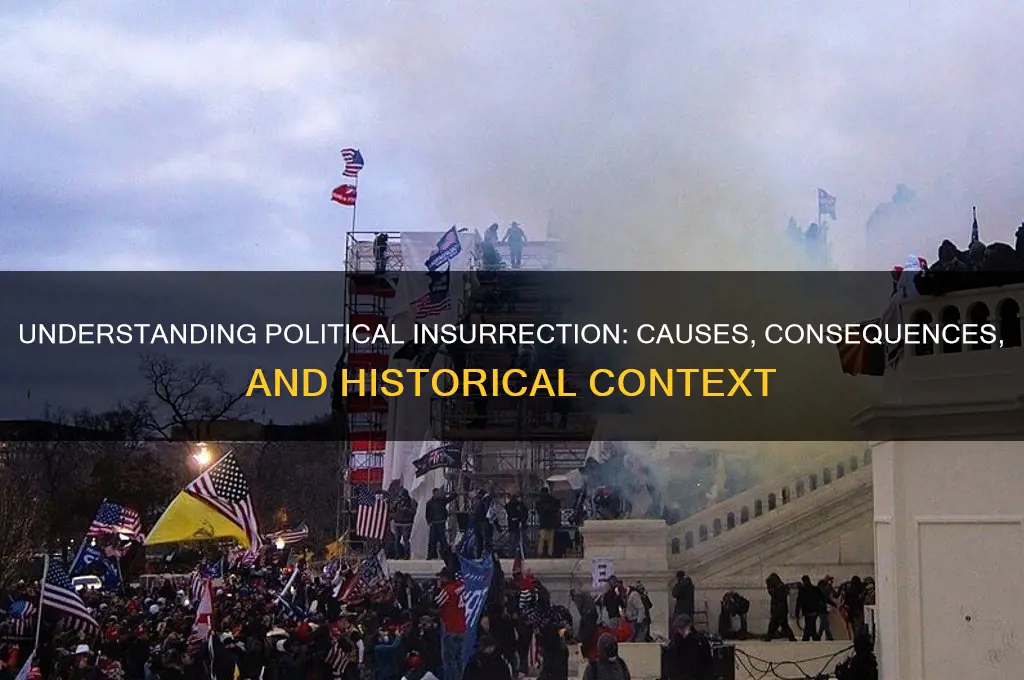 what is a political insurrection