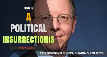 Understanding Political Insurrectionists: Definitions, Motivations, and Historical Context