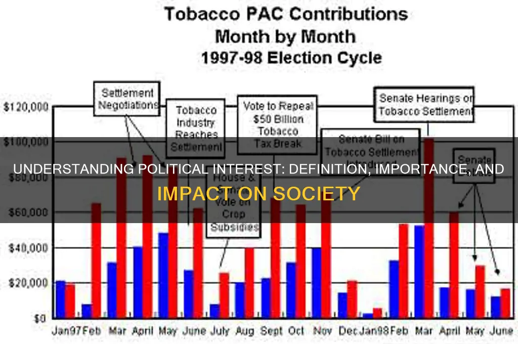 what is a political interest