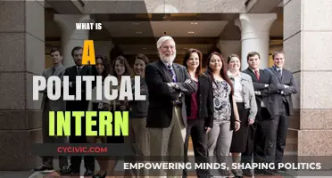 Exploring the Role and Impact of a Political Intern