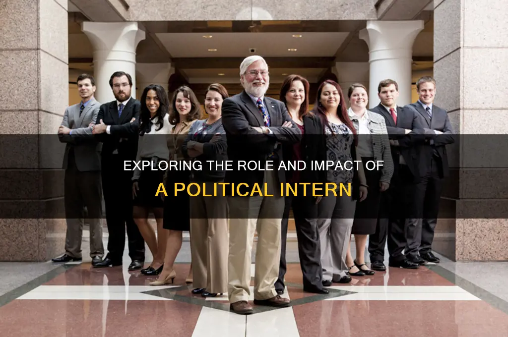what is a political intern