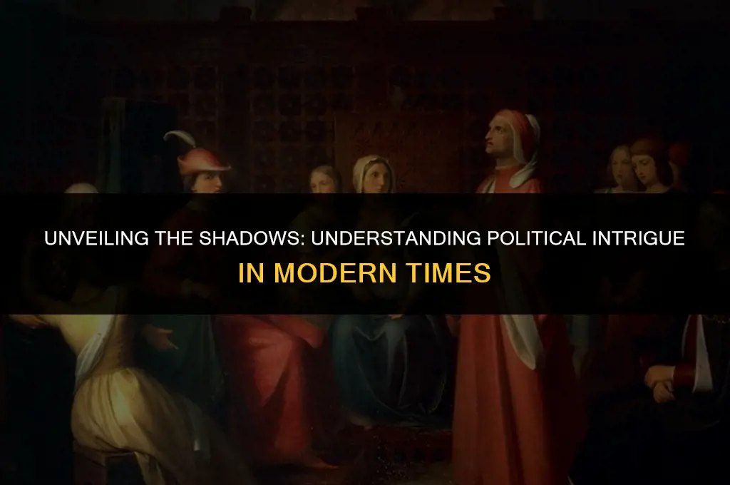 what is a political intrigue mean