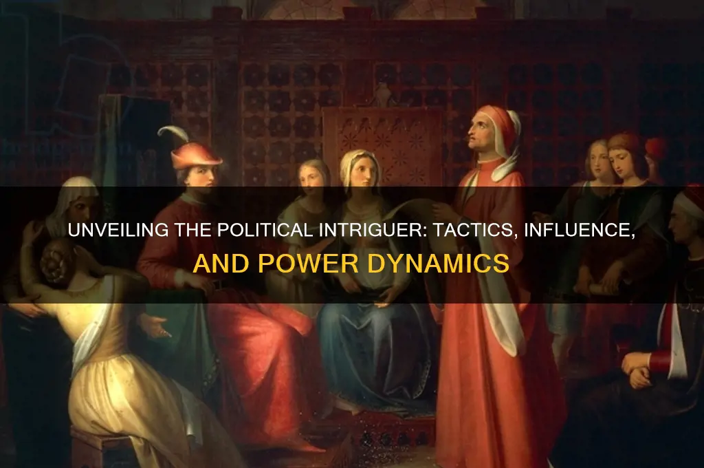 what is a political intriguer