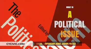 Understanding Political Issues: Definitions, Impact, and Societal Implications Explained
