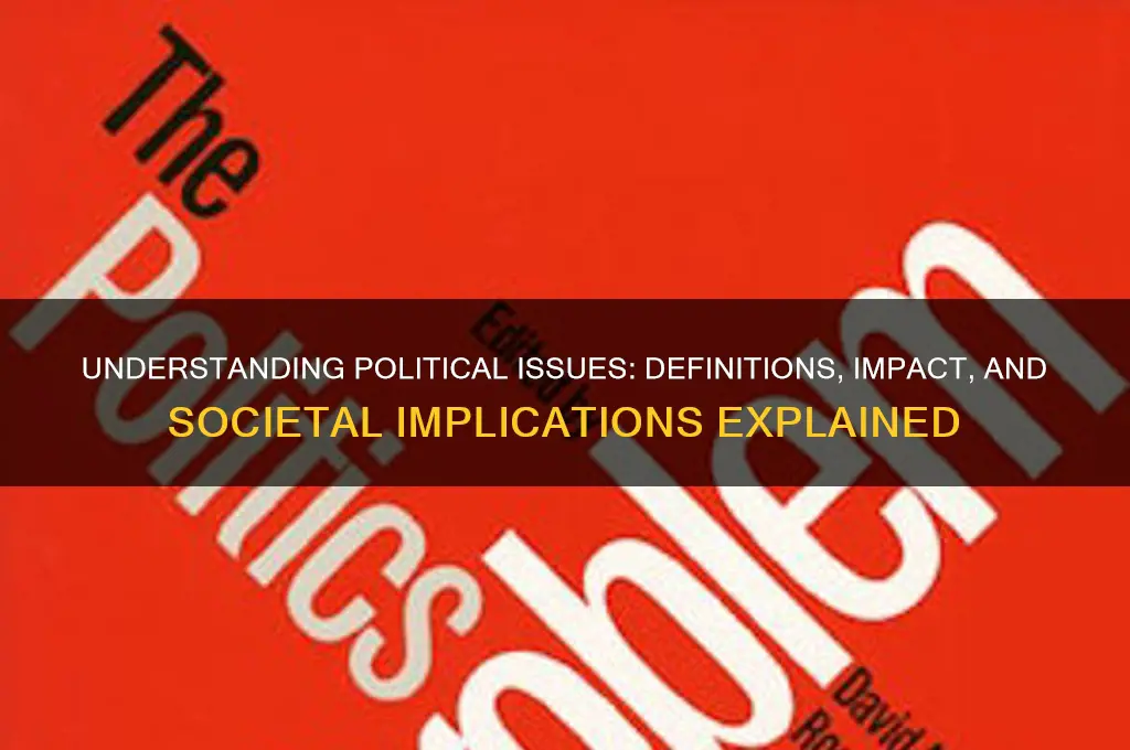 what is a political issue