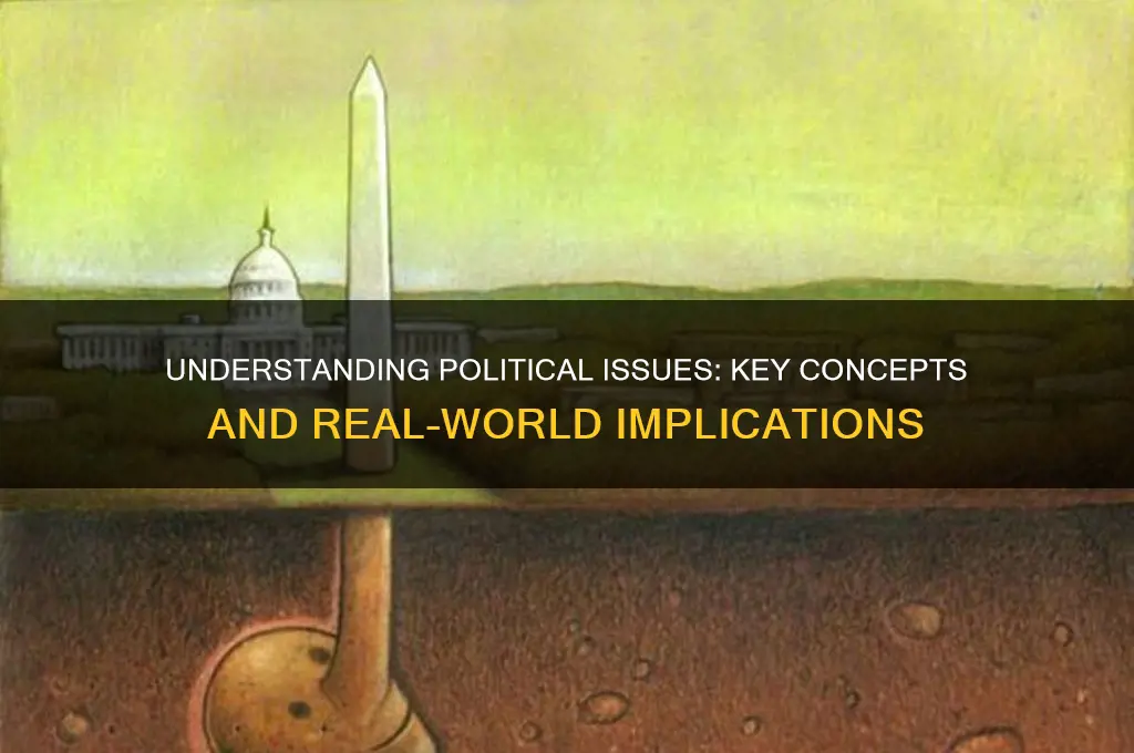 what is a political issues