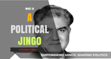 Understanding Political Jingoism: Definition, Origins, and Modern Implications