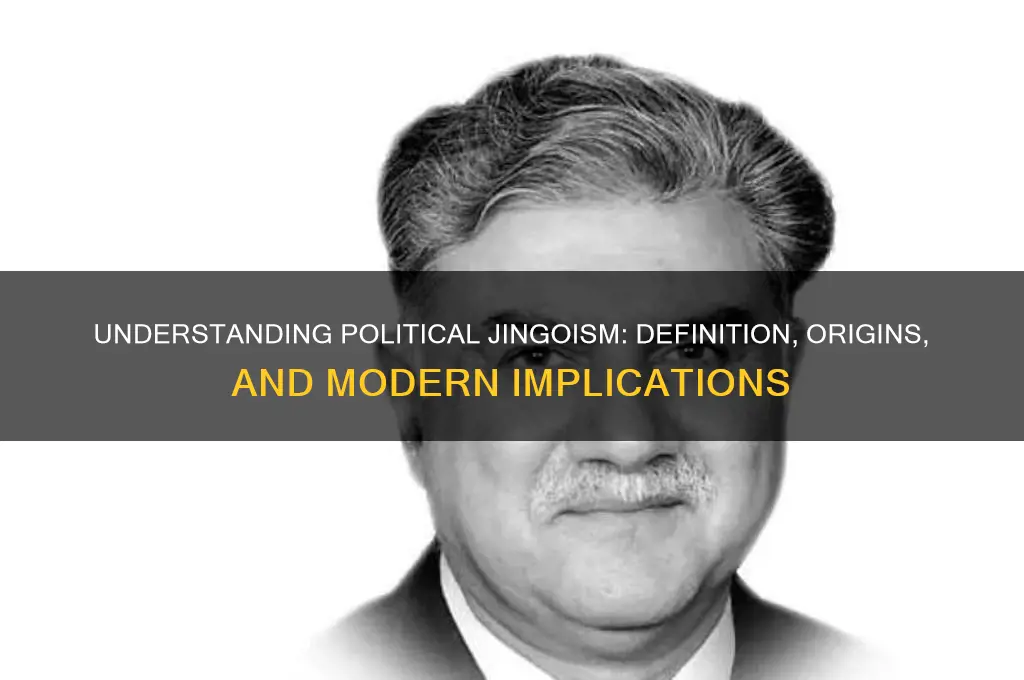 what is a political jingo