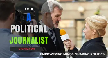 Understanding the Role of a Political Journalist in Modern Media