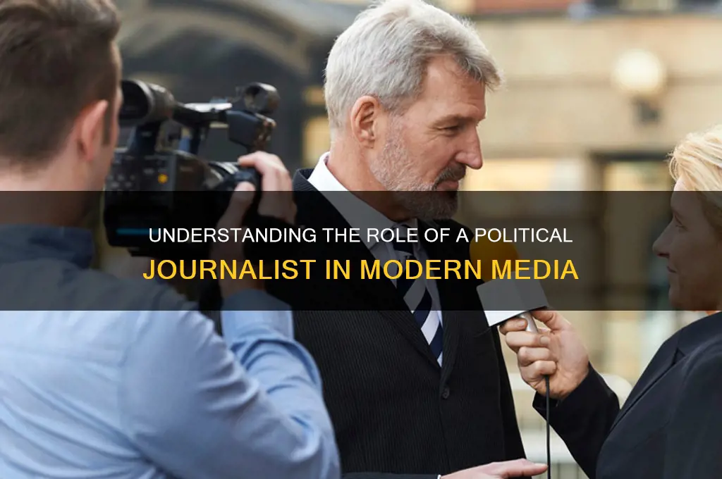 what is a political journalist