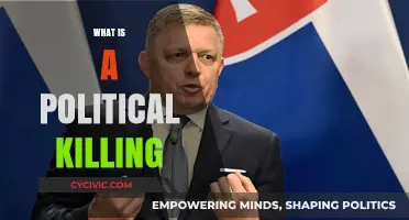 Understanding Political Killings: Motives, Methods, and Global Implications