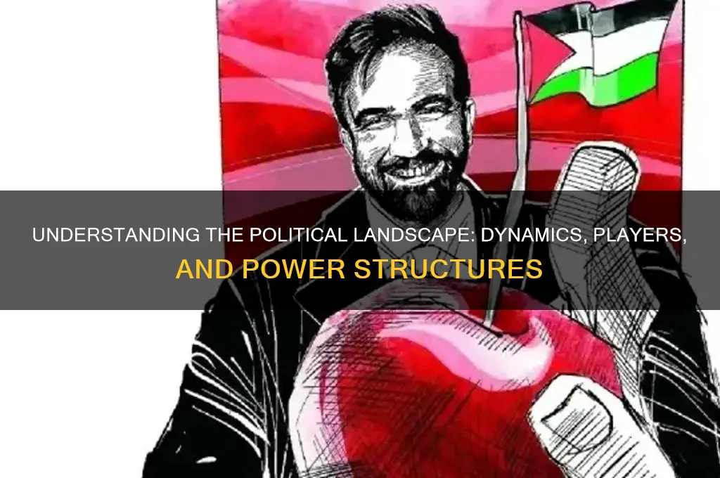 what is a political landscape