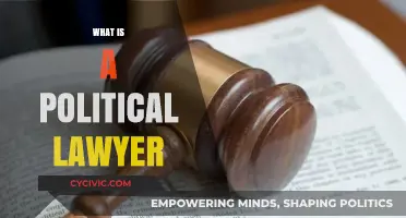 Understanding the Role of a Political Lawyer in Modern Governance