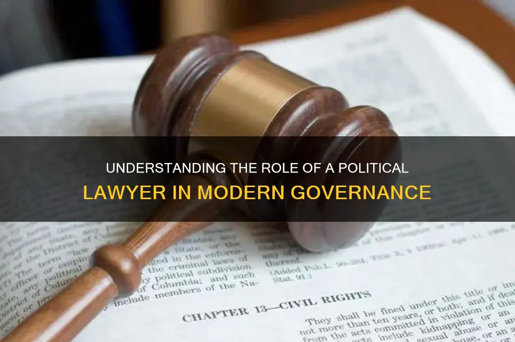 what is a political lawyer