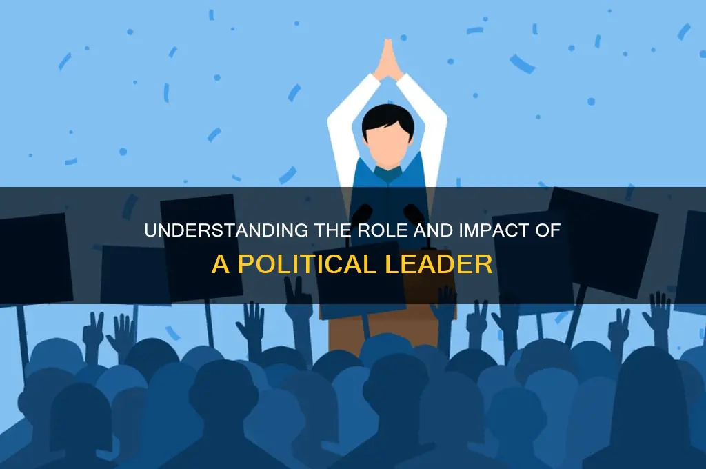 what is a political leadder