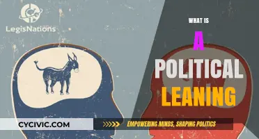 Understanding Political Leaning: A Comprehensive Guide to Ideological Alignment