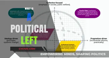Understanding the Political Left: Core Values, History, and Modern Impact