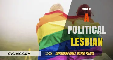 Understanding Political Lesbianism: Identity, Activism, and Feminist Solidarity
