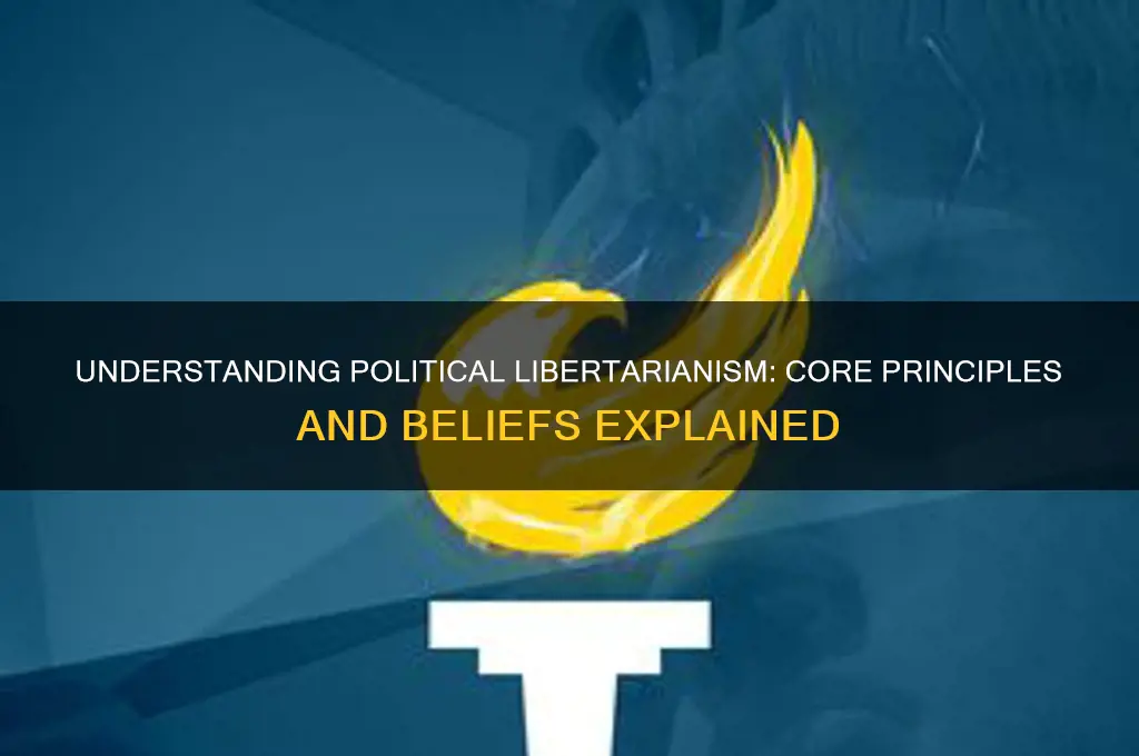 what is a political libertarian