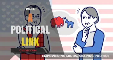 Understanding Political Links: Connections, Influence, and Power Dynamics Explained