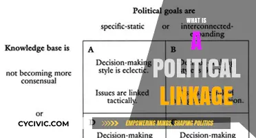 Understanding Political Linkage: Strategies, Impacts, and Global Implications