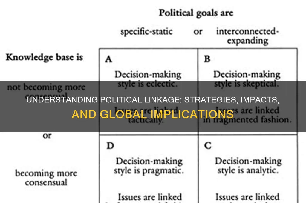 what is a political linkage
