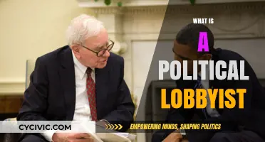 Understanding Political Lobbyists: Roles, Influence, and Impact on Policy
